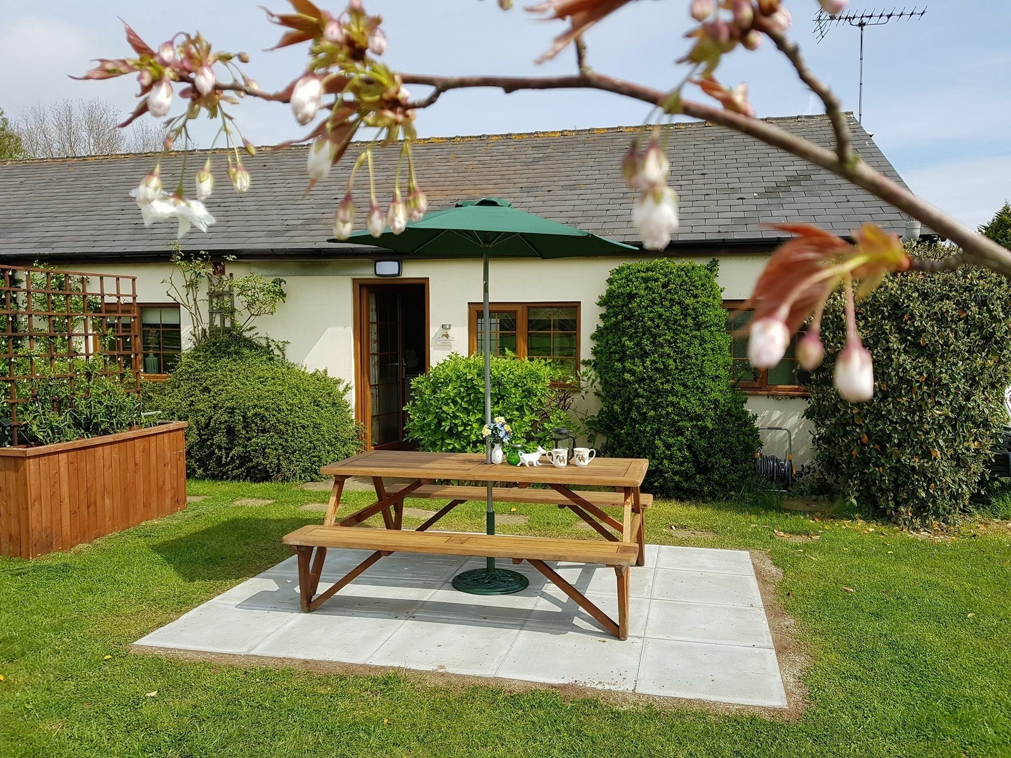 Hawthorn Farm Cottages Canterbury Exteriér fotografie